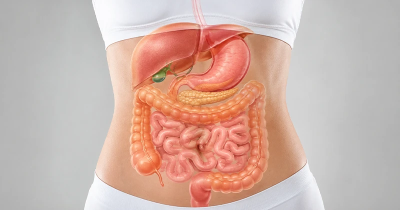 Cirurgia digestiva: avaliação e planejamento de cirurgias do aparelho digestivo em Recife